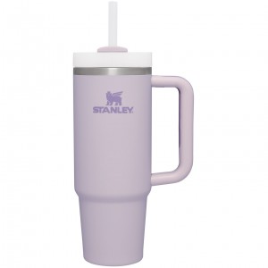 Stanley Quencher H2.0 Travel Tumbler | Soft Matte | 30 OZ Orchid | 09GPHFIDZ