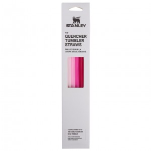 Stanley Replacement Straw 4 Pack | 30 oz Quencher Tumbler Pembe | 30TNKYPMO