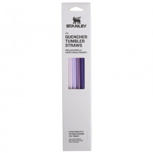 Stanley Replacement Straw 4 Pack | 30 oz Quencher Tumbler Mor | 16URXGKHA