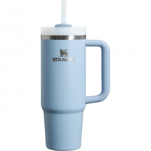 Stanley The Clean Slate Quencher H2.0 FlowState Tumbler | 30 OZ Heather | 43DVCUSMZ