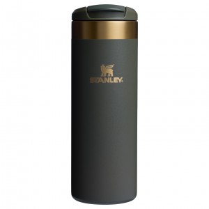 Stanley The Fall Refresh AeroLight™ Transit Bottle | 16 OZ Cypress | 86KAPIFUS