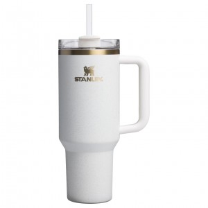 Stanley The Fall Refresh Quencher H2.O FlowState™ Tumbler I 40 OZ - Stanley Cr Krema | 42EKUNZPW