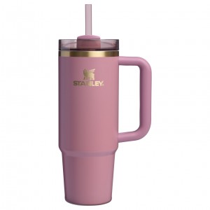 Stanley The Fall Refresh Quencher H2.O FlowState™ Tumbler I 30 OZ - Stanley Cr Pembe | 70PZJNEDC