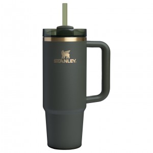Stanley The Fall Refresh Quencher H2.O FlowState™ Tumbler I 30 OZ - Stanley Cr Cypress | 49RYCHLUP