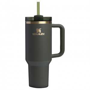 Stanley The Fall Refresh Quencher H2.O FlowState™ Tumbler I 40 OZ - Stanley Cr Cypress | 38HRFTPXK