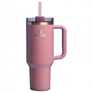 Stanley The Fall Refresh Quencher H2.O FlowState™ Tumbler I 40 OZ - Stanley Cr Pembe | 98XRSPCVT