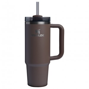 Stanley The Fall Refresh Quencher H2.O FlowState™ Tumbler I 30 OZ - Stanley Cr Espresso | 17FOUPEDZ