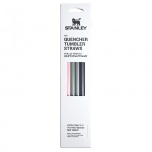 Stanley The Fall Refresh Replacement Straw 4 Pack | 30 oz Quencher Tumbler Fall Multi Pack | 35XKGDJIY