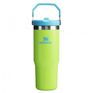 Stanley The Heat Wave IceFlow™ Flip Straw Tumbler | 30 OZ Bright Lime | 31JBTWVIG