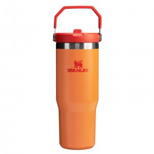 Stanley The Heat Wave IceFlow™ Flip Straw Tumbler | 30 OZ Goldenrod | 71BRUNCGH