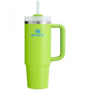 Stanley The Heat Wave Quencher H2.O FlowState™ Tumbler | 30 OZ Bright Lime | 30HSLKTYO