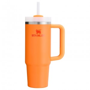 Stanley The Heat Wave Quencher H2.O FlowState™ Tumbler | 30 OZ Goldenrod | 82IFBVYJM