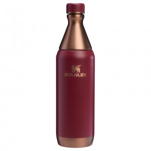 Stanley The Holiday All Day Slim Bottle | 20 OZ Gilded Pomegranate | 85JTCFYHM