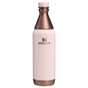 Stanley The Holiday All Day Slim Bottle | 20 OZ Gilded Sugar | 72MUFTOYE