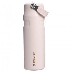 Stanley The Holiday IceFlow Water Bottle with Flip Straw Lid | 24 OZ Gilded Sugar | 28YIFKPGV