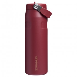 Stanley The Holiday IceFlow Water Bottle with Flip Straw Lid | 24 OZ Gilded Pomegranate | 57SVCXDYB