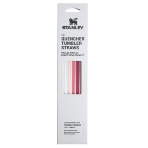 Stanley The Holiday Quencher Straws for Tumblers 4-Pack | 30 OZ | 4-Pack Holiday Multi Pack | 30 OZ | 58QZNPEXB