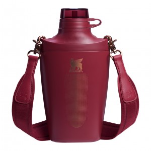 Stanley The Holiday Stanley Cross Bottle | 23 OZ Gilded Pomegranate | 80QMTLIXK
