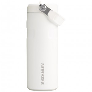 Stanley The IceFlow™ Bottle with Flip Straw Lid | 16 oz Frost | 28RMZEJUC