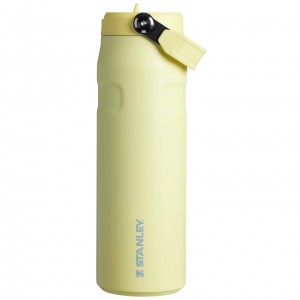 Stanley The IceFlow™ Bottle with Flip Straw Lid | 24 OZ Pomelo | 52TUMZWQH
