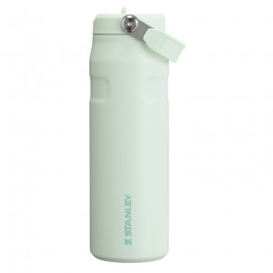 Stanley The IceFlow™ Bottle with Flip Straw Lid | 24 OZ Mist | 34IQALVWD