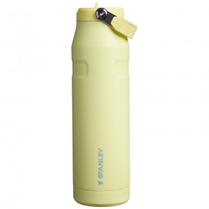 Stanley The IceFlow™ Bottle with Flip Straw Lid | 36 oz Pomelo | 62AYXESTG