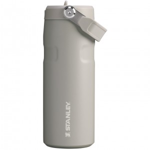 Stanley The IceFlow™ Bottle with Flip Straw Lid | 16 oz Ash | 21CNJVGXA
