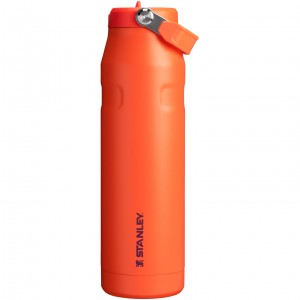 Stanley The IceFlow™ Bottle with Flip Straw Lid | 36 oz Tigerlily Plum | 63IXGDSWV