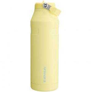Stanley The IceFlow™ Bottle with Flip Straw Lid | 50 oz Pomelo | 06YNSBGTO