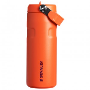 Stanley The IceFlow™ Bottle with Flip Straw Lid | 16 oz Tigerlily Plum | 54IRKOMGT