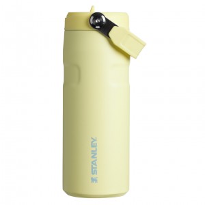 Stanley The IceFlow™ Bottle with Flip Straw Lid | 16 oz Pomelo | 06KMUZBCQ