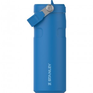 Stanley The IceFlow™ Bottle with Flip Straw Lid | 16 oz Mavi | 34MISAZUC