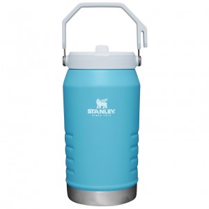 Stanley The IceFlow Flip Straw Jug | 64 OZ | Insulated Water Jug Pool | 23KWYJFTA