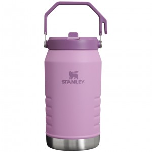 Stanley The IceFlow Flip Straw Jug | 64 OZ | Insulated Water Jug Lilac | 39VLPJWDI
