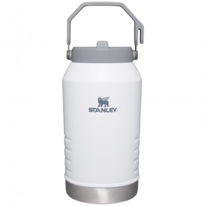 Stanley The IceFlow Flip Straw Jug | 96 OZ | Insulated Water Jug Polar | 21UZHAESI