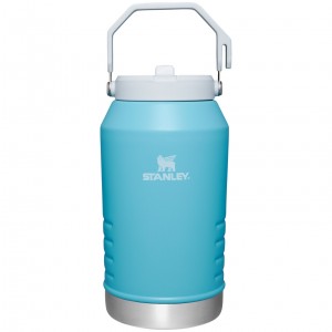 Stanley The IceFlow Flip Straw Jug | 96 OZ | Insulated Water Jug Pool | 68SWFZAHM