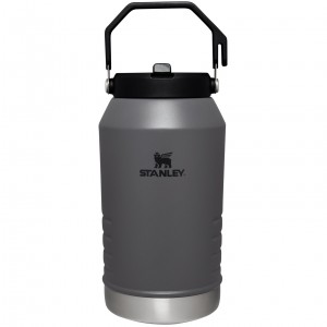 Stanley The IceFlow Flip Straw Jug | 96 OZ | Insulated Water Jug Charcoal | 70IJNEXGA