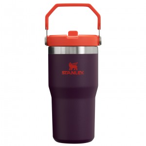 Stanley The IceFlow Flip Straw Tumbler | 20 OZ | Insulated Su Bottle Plum | 03JVSKHEC