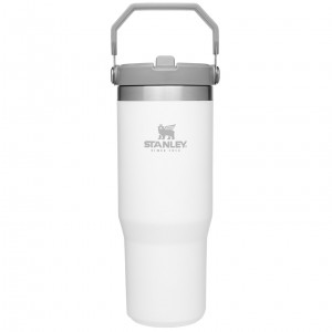 Stanley The IceFlow Flip Straw Tumbler | 30 OZ | Insulated Water Polar | 83YKVRFSH