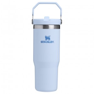 Stanley The IceFlow Flip Straw Tumbler | 30 OZ | Insulated Water Glacier | 37RASWCKL