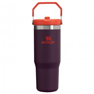 Stanley The IceFlow Flip Straw Tumbler | 30 OZ | Insulated Water Plum | 79BKIWXYJ
