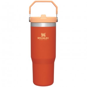Stanley The IceFlow Flip Straw Tumbler | 30 OZ | Insulated Water Tigerlily | 38XZGKWQT