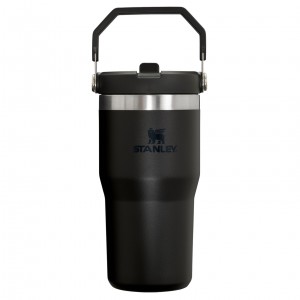 Stanley The IceFlow Flip Straw Tumbler | 20 OZ | Insulated Su Bottle Siyah | 31IFWGCEQ