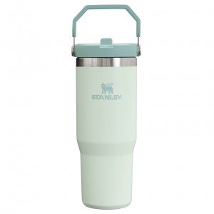 Stanley The IceFlow Flip Straw Tumbler | 30 OZ | Insulated Water Mist | 43RMESTFV