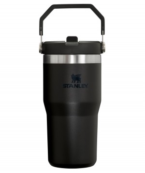 Stanley The IceFlow Flip Straw Tumbler | 20 OZ | Insulated Water Tumbler | Sta Siyah | 02NVJDBKS