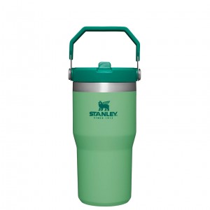 Stanley The IceFlow Flip Straw Tumbler | 20 OZ | Insulated Su Bottle Jade | 98RSMETYV