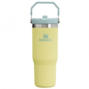 Stanley The IceFlow Flip Straw Tumbler | 30 OZ | Insulated Water Pomelo | 85GZWCMQU
