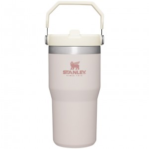Stanley The IceFlow Flip Straw Tumbler | 20 OZ | Insulated Water Tumbler | Sta Pembe | 98GBUYVPN