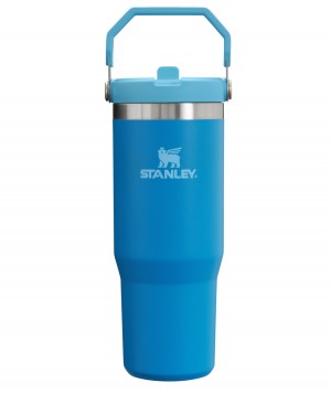 Stanley The IceFlow Flip Straw Tumbler | 30 OZ | Insulated Water Mavi | 47RKLECXM