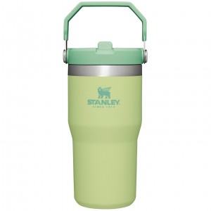 Stanley The IceFlow Flip Straw Tumbler | 20 OZ | Insulated Su Bottle Citron | 43GIUNXFA